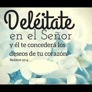 Meet your Posher, Carmen